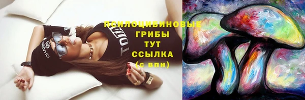 эйфоретик Богородицк