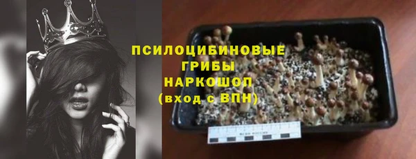эйфоретик Богородицк