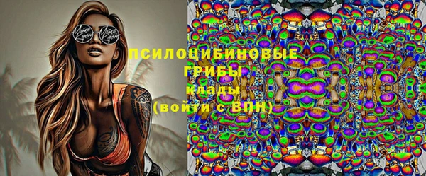 эйфоретик Богородицк