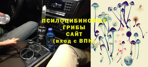 эйфоретик Богородицк